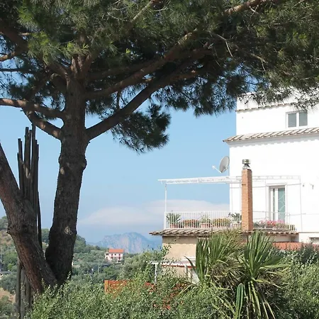 Sunset House *